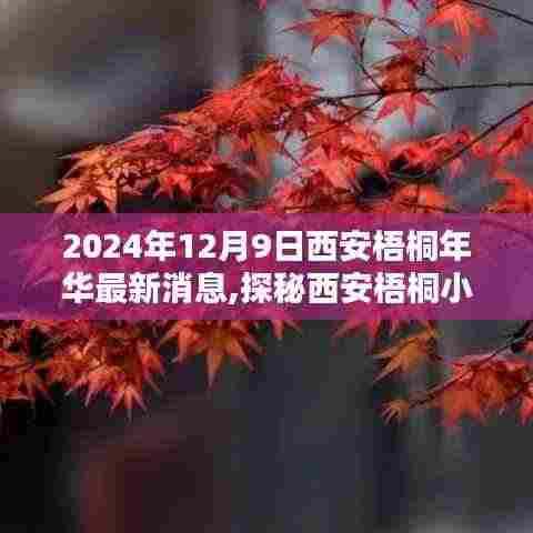 2024年12月9日西安梧桐年华最新消息,探秘西安梧桐小巷，一家隐藏于岁月静好之处的特色小店