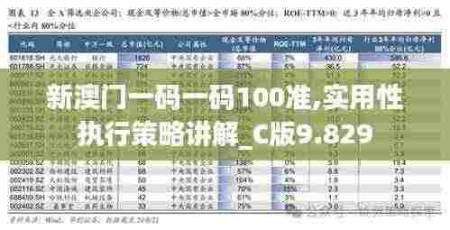 新澳门一码一码100准,实用性执行策略讲解_C版9.829