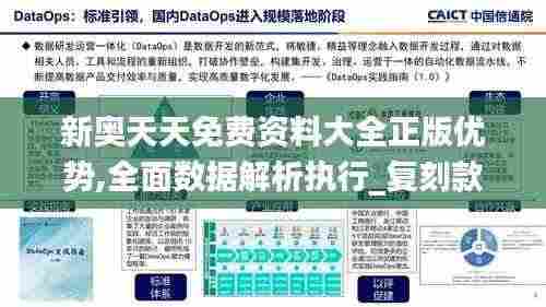新奥天天免费资料大全正版优势,全面数据解析执行_复刻款2.797
