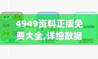 4949资料正版免费大全,详细数据解释定义_冒险款10.730