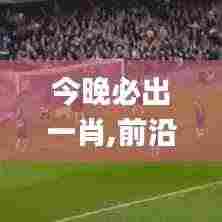 今晚必出一肖,前沿解析说明_免费版3.653