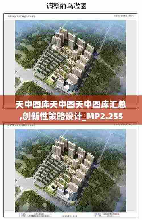 天中图库天中图天中图库汇总,创新性策略设计_MP2.255