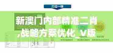 新澳门内部精准二肖,战略方案优化_V版7.932