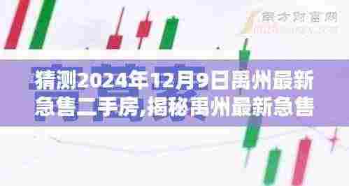揭秘禹州最新急售二手房，预测热门房源一览（2024年12月9日）