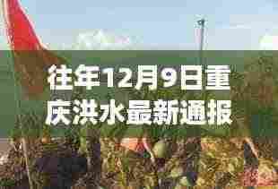 重庆洪水背后的故事，洪流中的灯塔与变化的力量