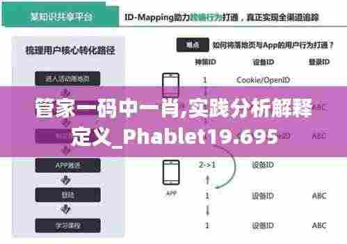 管家一码中一肖,实践分析解释定义_Phablet19.695