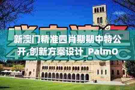 新澳门精准四肖期期中特公开,创新方案设计_PalmOS6.974