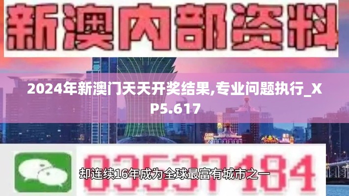 2024年新澳门天天开奖结果,专业问题执行_XP5.617