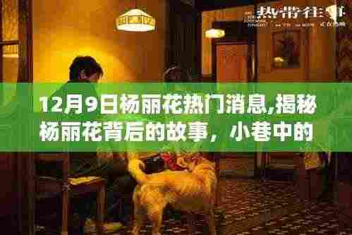 揭秘杨丽花背后的故事与小巷美食秘境——12月9日独家报道