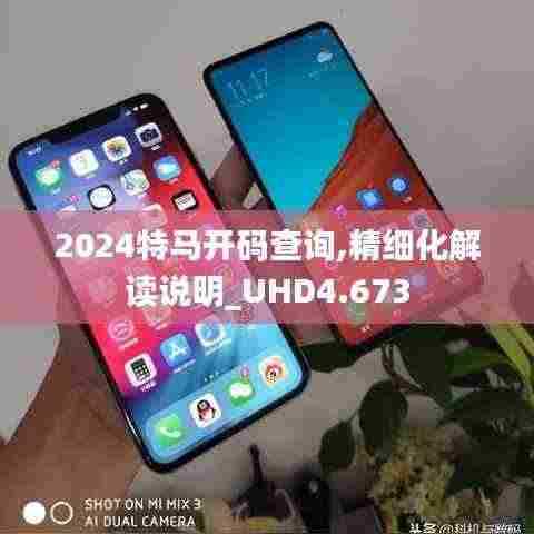 2024特马开码查询,精细化解读说明_UHD4.673