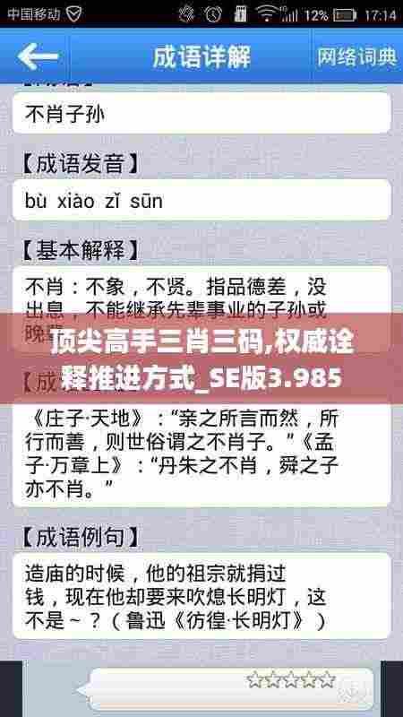 顶尖高手三肖三码,权威诠释推进方式_SE版3.985