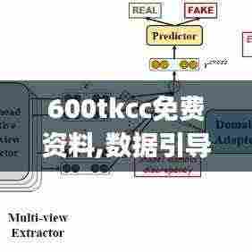 600tkcc免费资料,数据引导设计策略_RX版9.805