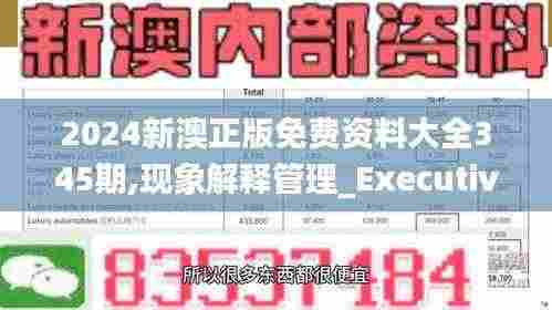 2024新澳正版免费资料大全345期,现象解释管理_Executive8.703