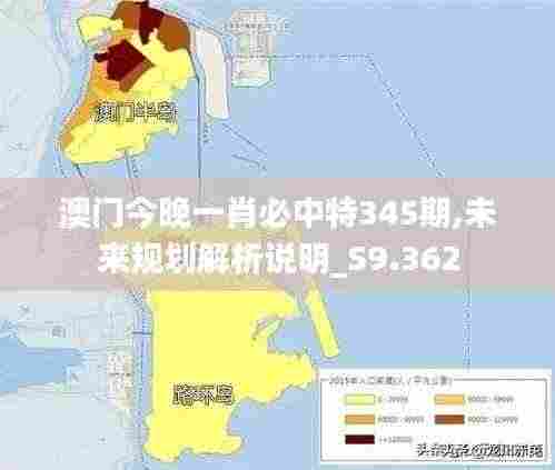 澳门今晚一肖必中特345期,未来规划解析说明_S9.362