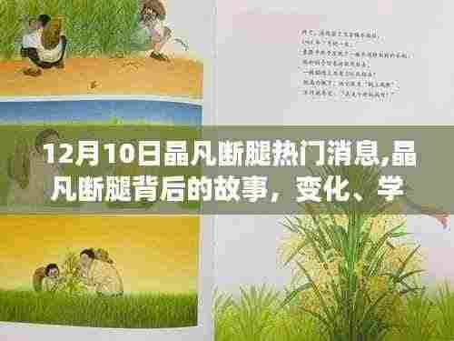 晶凡断腿背后的故事，变化、学习与自信的力量，热门消息揭秘