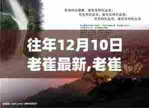 老崔的冬日自然探秘之旅，寻找内心的宁静与自然的魔法力量