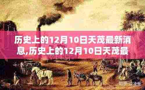 雍容尔雅 第5页