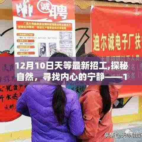 12月10日天等最新招工，探寻自然之美，寻找心灵宁静之旅