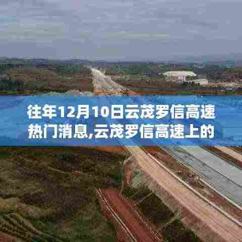 云茂罗信高速暖心故事与奇遇，温情纽带在冬日绽放