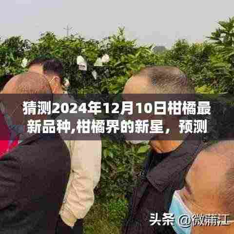 鸟革翬飞 第5页