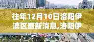洛阳伊滨区隐秘小巷探秘，味觉奇迹之旅揭晓最新消息（独家标题）