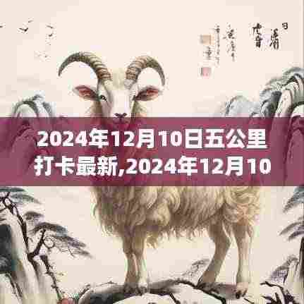 坚持的力量与生活的美好交织，2024年12月10日五公里打卡新篇章开启