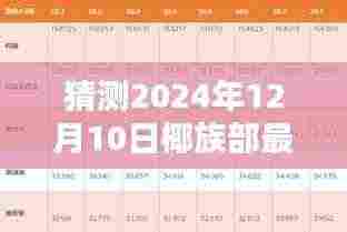 揭秘未来之门，椰族部全新域名前瞻体验，引领科技生活新纪元（2024年12月10日）