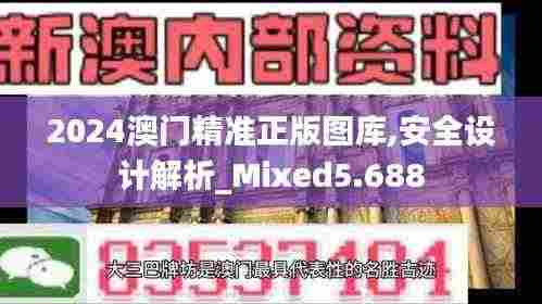 2024澳门精准正版图库,安全设计解析_Mixed5.688