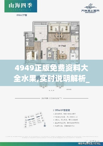 4949正版免费资料大全水果,实时说明解析_soft3.632