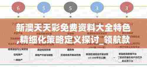 新澳天天彩免费资料大全特色,精细化策略定义探讨_领航款10.238