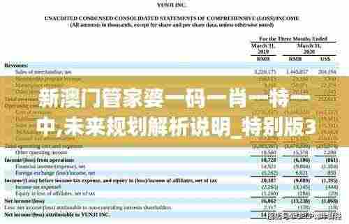 新澳门管家婆一码一肖一特一中,未来规划解析说明_特别版3.749