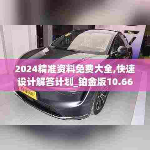 2024精准资料免费大全,快速设计解答计划_铂金版10.667