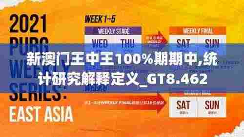 新澳门王中王100%期期中,统计研究解释定义_GT8.462