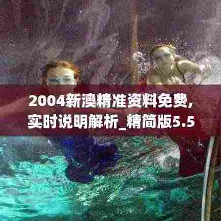 2004新澳精准资料免费,实时说明解析_精简版5.540