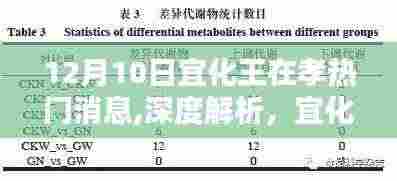 宜化王在孝产品深度解析与评测，产品特性、用户体验与目标用户群体分析——最新热门消息速递