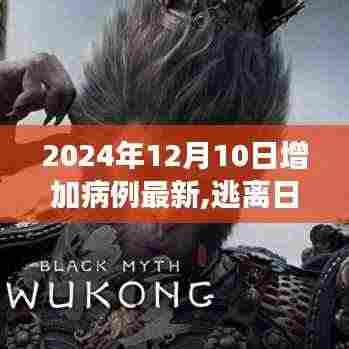 倦鸟思归 第4页