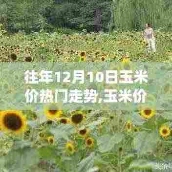 瑞雪飞舞 第5页