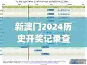 新澳门2024历史开奖记录查询表,数据解析支持设计_WP版8.249