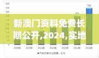 新澳门资料免费长期公开,2024,实地数据执行分析_DP2.957