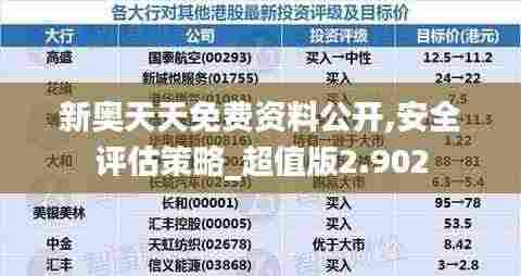 新奥天天免费资料公开,安全评估策略_超值版2.902