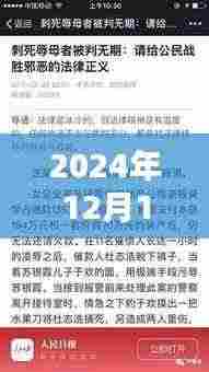 深度解析，山东杀人辱母案全程指南——从背景揭秘到法律维权之路（2024年12月10日热点关注）