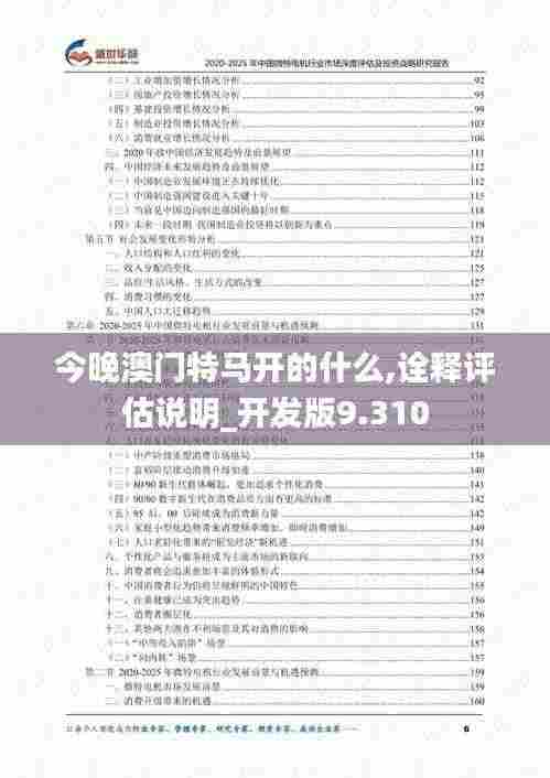 今晚澳门特马开的什么,诠释评估说明_开发版9.310