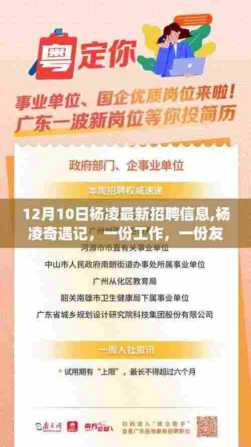 杨凌奇遇记，最新招聘与友情交织的温馨故事