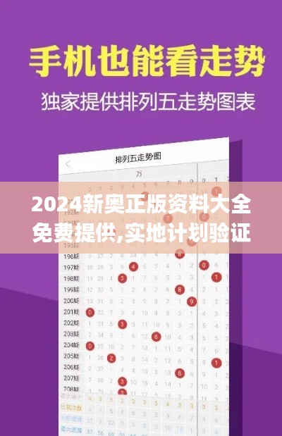 2024新奥正版资料大全免费提供,实地计划验证策略_FT9.719