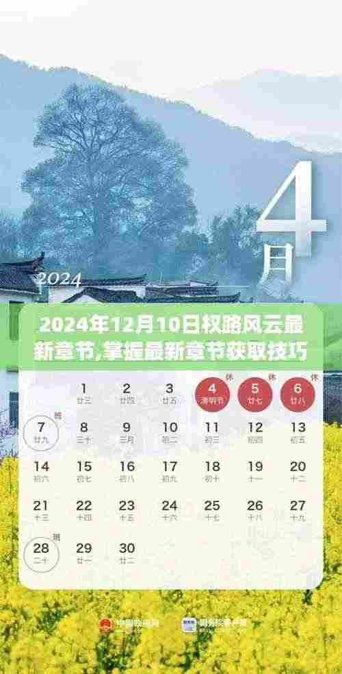 2024年12月10日权路风云,最新章节获取技巧与阅读指南