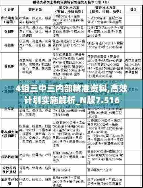 4组三中三内部精准资料,高效计划实施解析_N版7.516