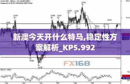 新澳今天开什么特马,稳定性方案解析_KP5.992