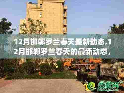 揭秘12月邯郸罗兰春天最新动态，三大看点一览无余