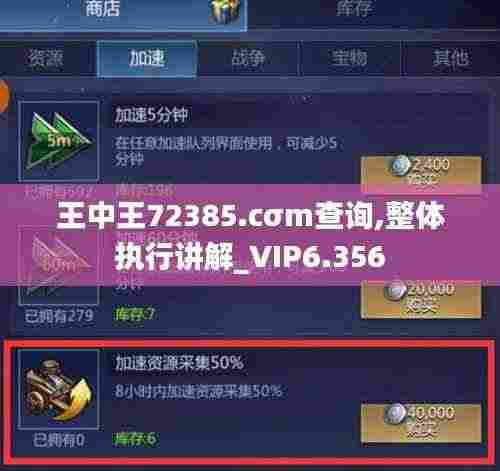 王中王72385.cσm查询,整体执行讲解_VIP6.356