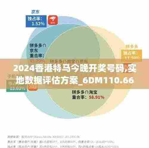2024香港特马今晚开奖号码,实地数据评估方案_6DM110.666